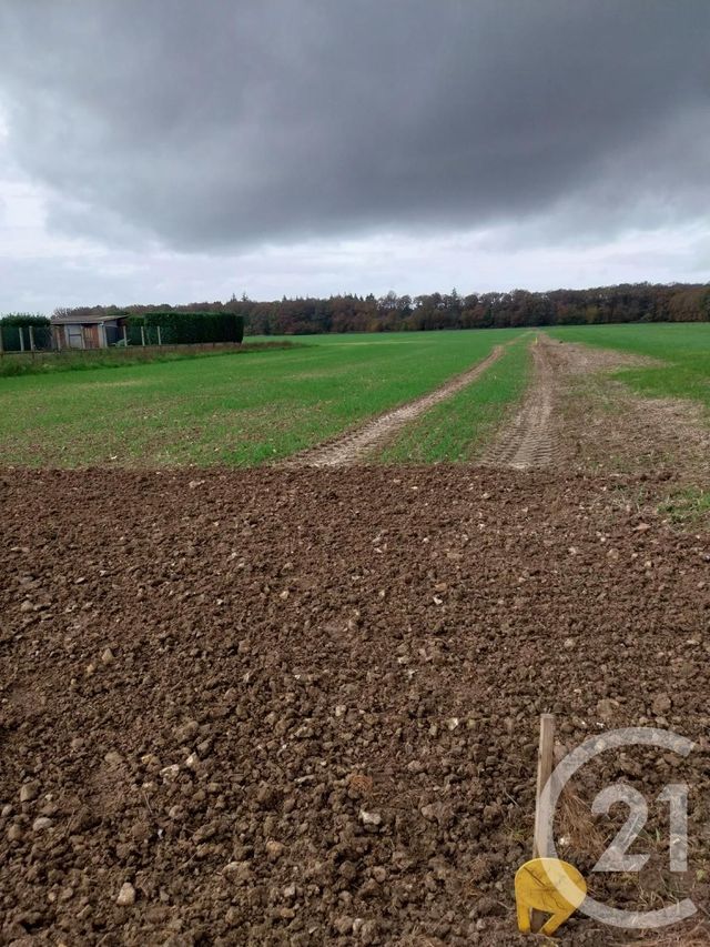 terrain à vendre - 1150.0 m2 - CHAMPIGNY LA FUTELAYE - 27 - HAUTE-NORMANDIE - Century 21 Agence De Diane